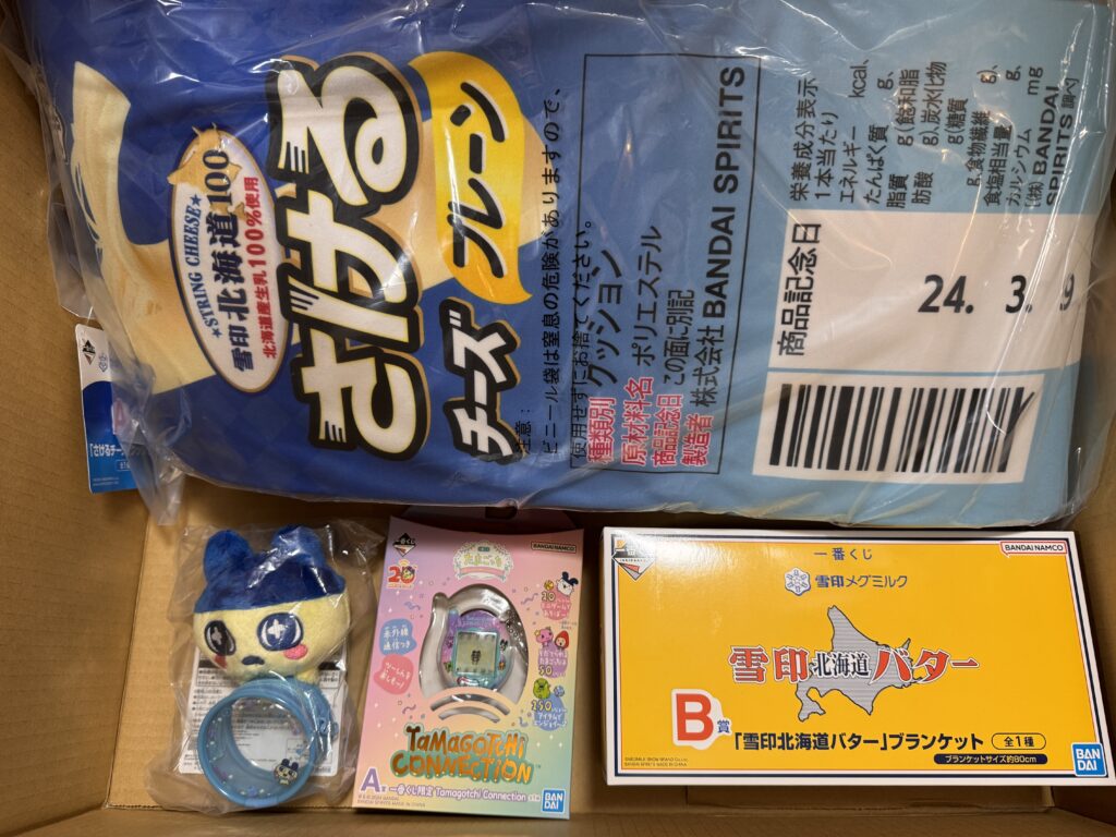 この実績に掲載中の写真です
