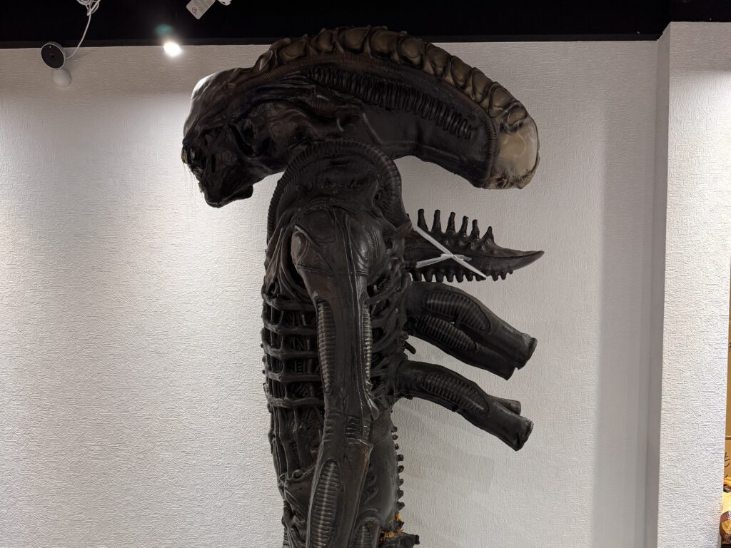 この実績に掲載中の写真です